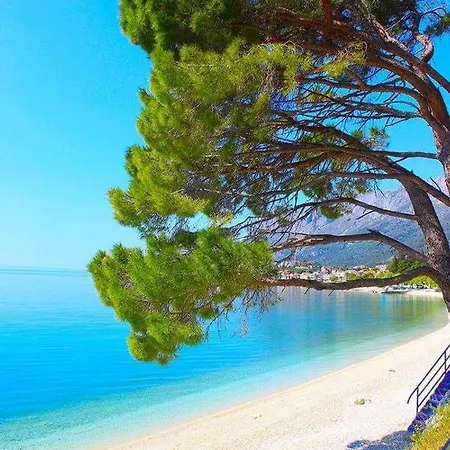 Apartment Ana Gradac (Split-Dalmatia)